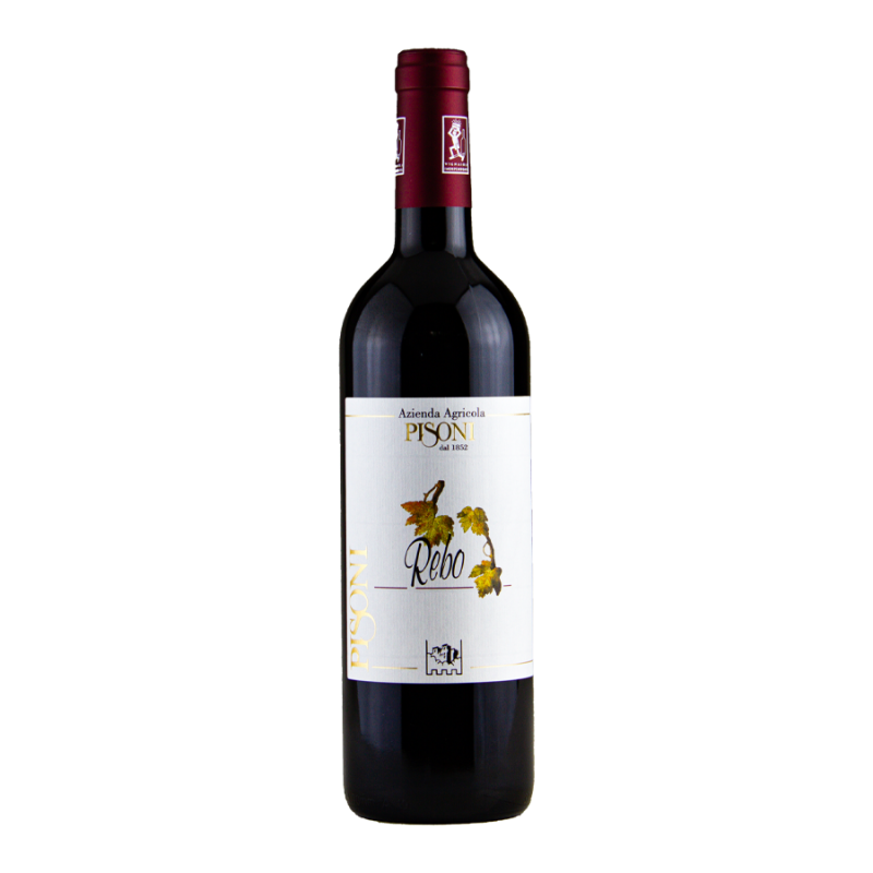 Vino Rebo IGT 2018